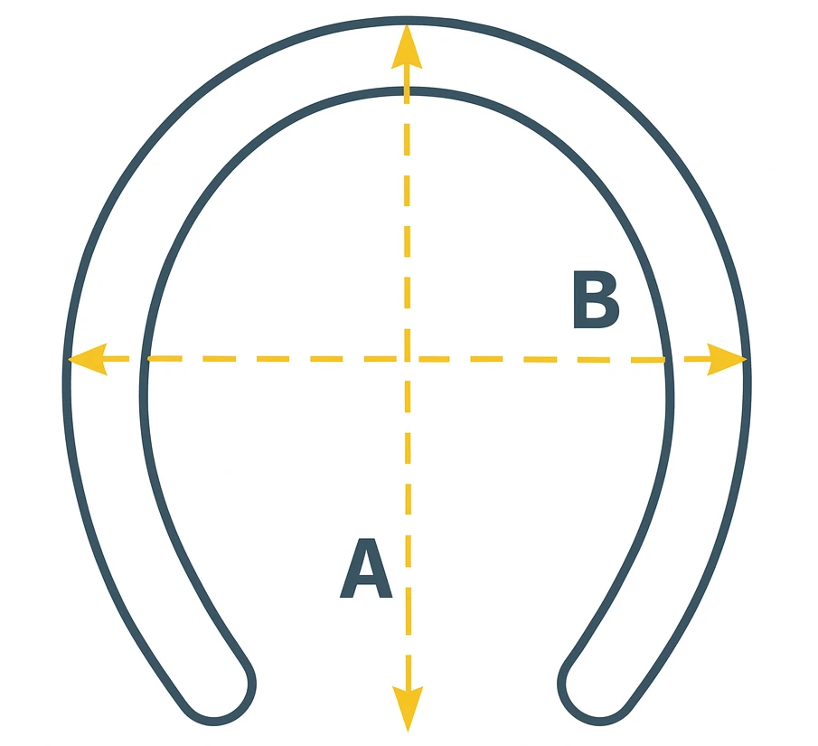 Схема измерения копыта: A — длина, B — ширина